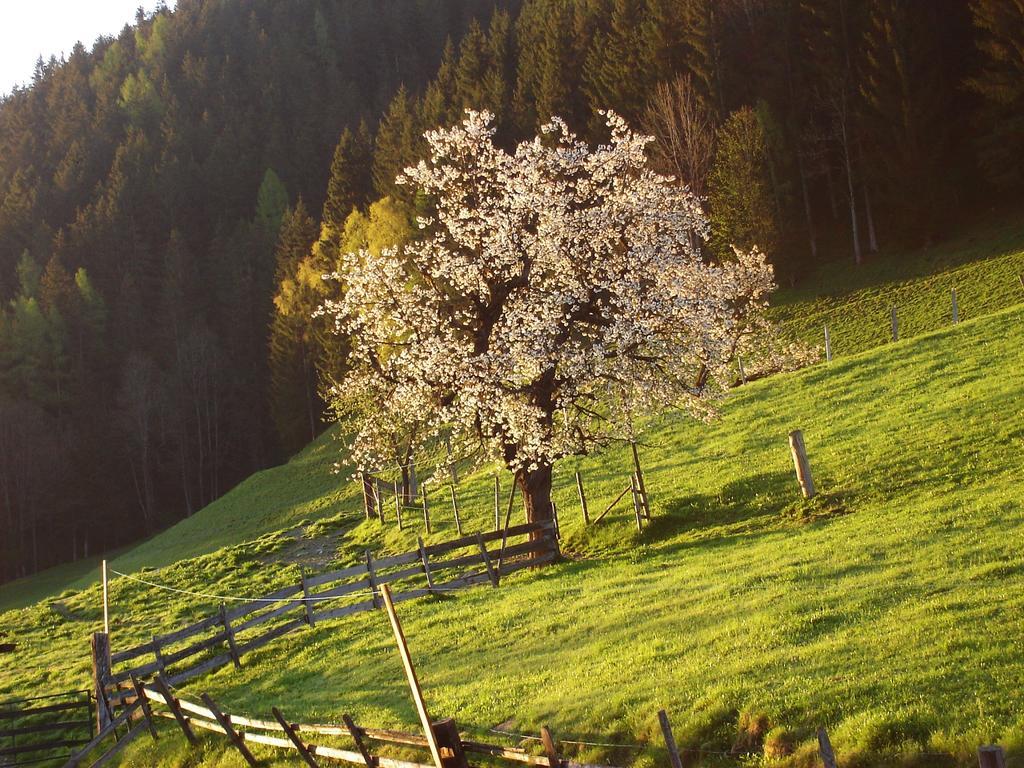 Apartament Greti Schladming